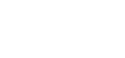 Bison